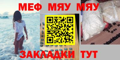 стаф Можга