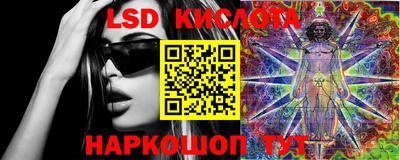 стаф Можга