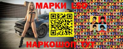 стаф Можга