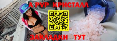 стаф Можга