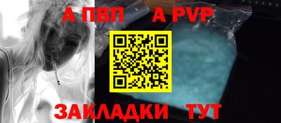 стаф Можга
