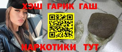 стаф Можга