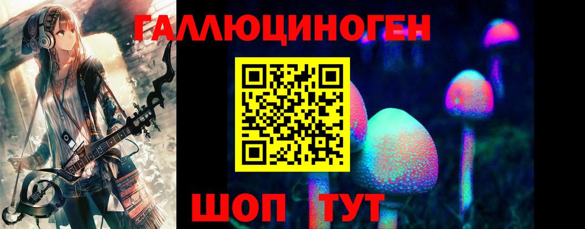 Галлюциногенные грибы прущие грибы Дмитров