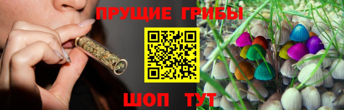 Дмитров  Псилоцибиновые грибы Magic Shrooms  Галлюциногенные грибы Psilocybine cubensis  Вход с VPN 